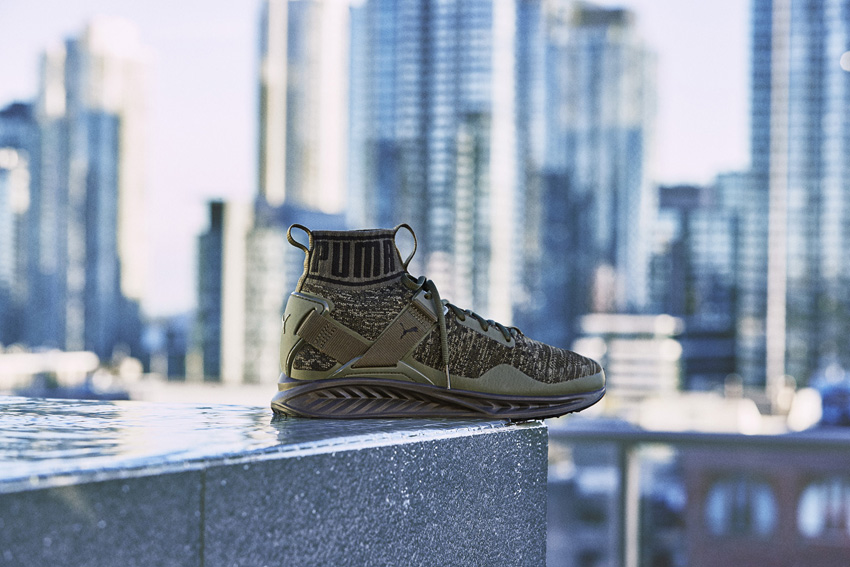 Puma ignite evoknit sportscene cheap